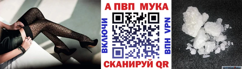 A-PVP СК  Гатчина 