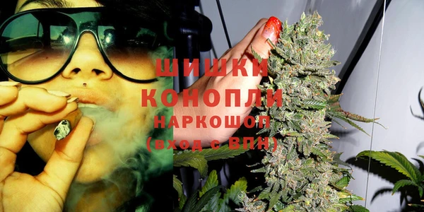 ГАЛЛЮЦИНОГЕННЫЕ ГРИБЫ Арсеньев