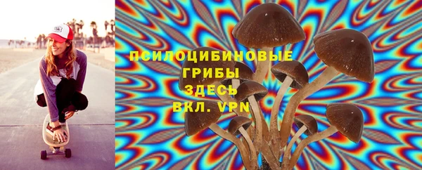 ГАЛЛЮЦИНОГЕННЫЕ ГРИБЫ Арсеньев