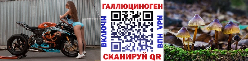 Псилоцибиновые грибы ЛСД  где купить наркоту  kraken ТОР  Гатчина 
